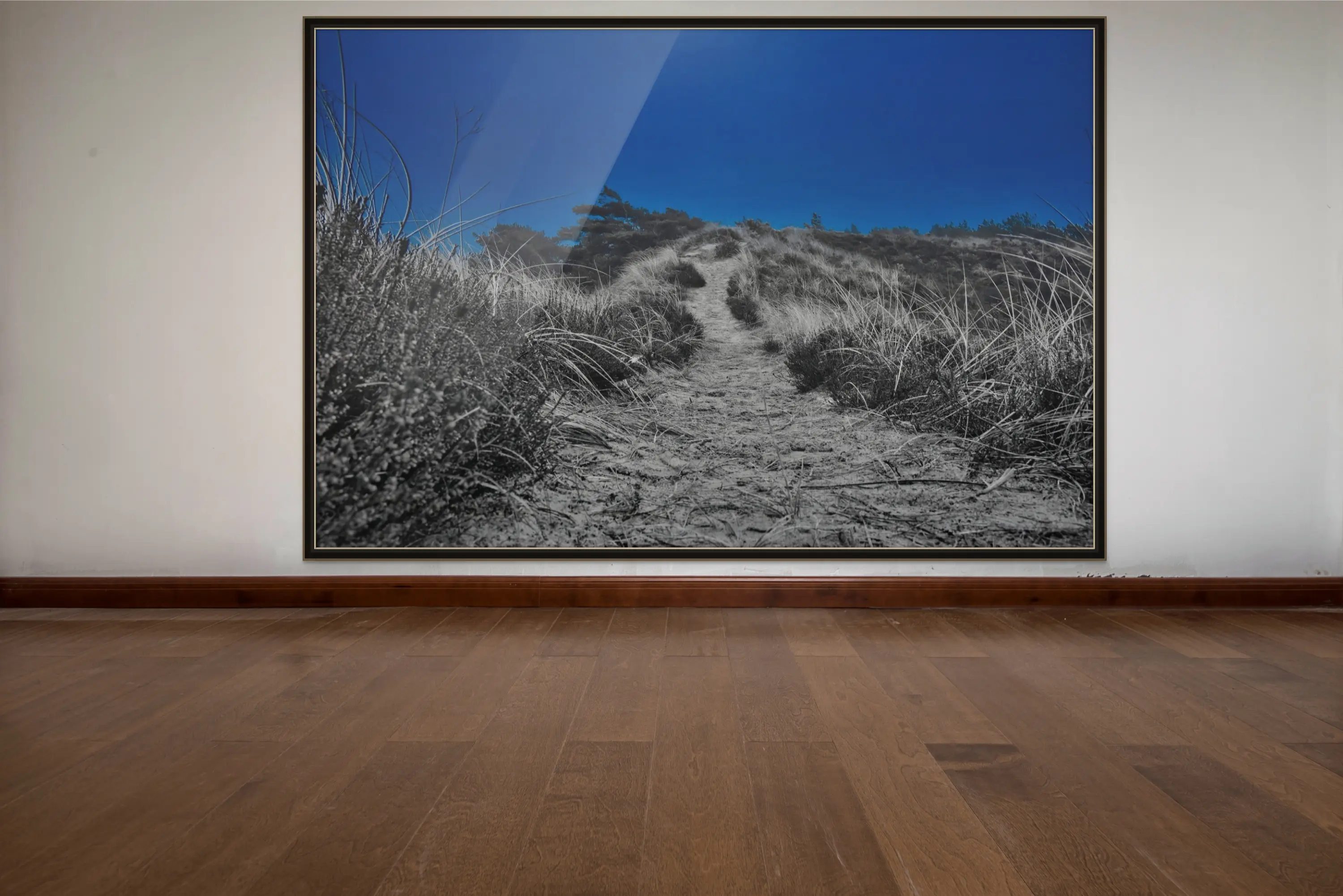 Light & Dark — Christian Wamser