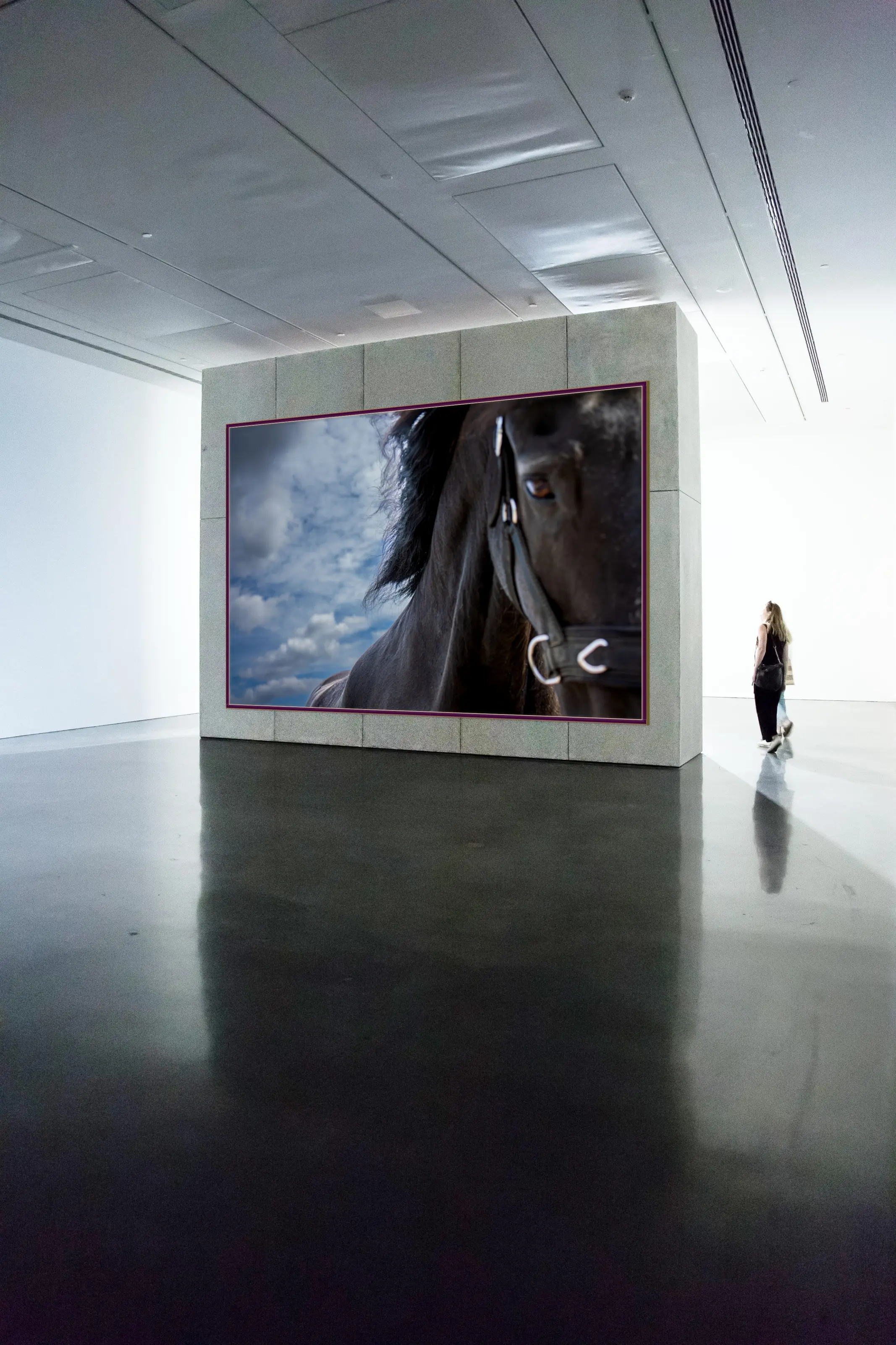 Open Range — Monumentale Fotokunst — Christian Wamser