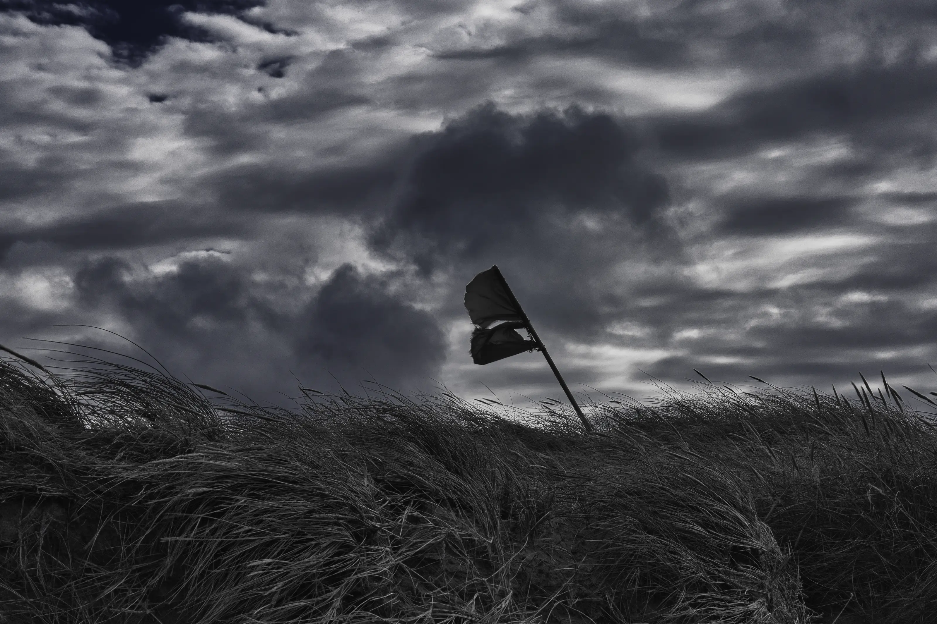The Silent — Christian Wamser
