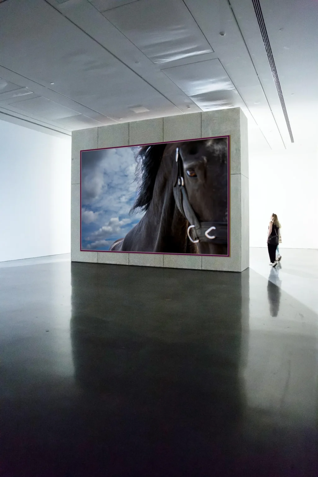Open Range — Monumentale Fotokunst — Christian Wamser